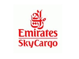 logo emirate equalized